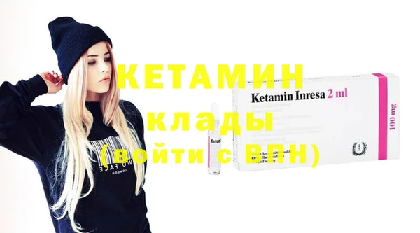 шишки Балахна
