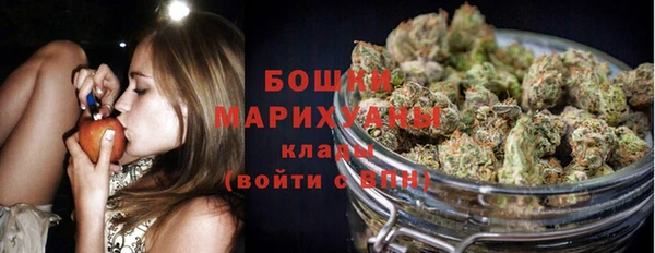 кокс Белокуриха