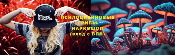 ешки Белоозёрский